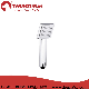  Water Saving High Quality Square Design One Function Hand Shower (ZS096)