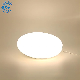  Waterproof Dimming Power Dimming LED Ceiling Light for Shower Light Bathroom Balcony