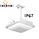 Outdoor or Indoor IP67 Waterproof Flood LED Shower Lights for Swimming Pool Ceiling
