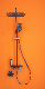  Shower Set 4 Function Shower Fixture with 12in Rainfall Shower Head Handheld