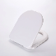 Short Length White D Shape Urea Wc Toilet Lid Sanitary Ware for Home Use manufacturer