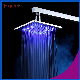 Fyeer 8 Inch 304 Stainless Steel LED Shower Head