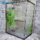 Customerized Pattern Colorful Safe Tempered Digital Printing Glass