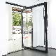 Sixinalu Revolving Tempered Glass Free Standing Aluminum Alloy Frame Office House Garden Entry Pivot Door manufacturer