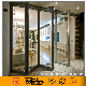 Aluminum/Double-Glazed Glass Bi-Folding Door (Elegant Silver) manufacturer