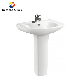 Sanitary Ware Wash Down Toilet with European Design Style