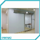 Automatic Sliding Door for ICU manufacturer