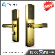 High Quality Wireless Electric Remote Control Door Lock manufacturer