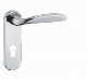 En 1906 Stainless Steel 304 Handle Lock manufacturer