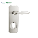 Aluminum Alloy Multi-Point Lock Door Handle manufacturer