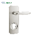 Aluminum Alloy Multi-Point Lock Door Handle