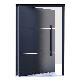 American Luxury Villa House Entrance Black Modern Stainless Steel Pivot Entry Door with Sidelight