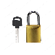  CL-32-1  Seal lock Stainless Steel Serial Number Custom Design padlock
