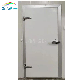 Cold Storage Room Hinged Door Swing Sliding Door