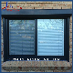  Customized Size/Design PVC 2 Panels Sliding Windows with Flyscreen for Residential