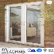  Conch Frame High Impacted Economical Modern Design UPVC Casement Door