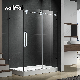  with Side Panel Return Panel Double Glass Sliding Shower Door