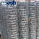  Hot Sale Welded Wire Mesh for Sale
