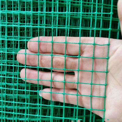 PVC Coat Square Hole Welded Wire Mesh/Bird Cage Welded Wire Mesh Panel