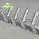  Stainless Steel Barbed Wire Razor Wire / Wall Spike