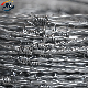  Barbed Wire with Galvanized Stainless Steel and PVC Coated for Sale