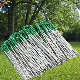 Galvanized Painted Garden Landscape Staples/Ground Stakes/Weed Mat Pins/SOD Staples manufacturer