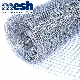 High Quality Galvanized Welded Wire Mesh Supplier manufacturer