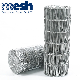 Super Quality Galvanized Welded Wire Mesh manufacturer