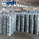 Hot-Dipped Galvanized Barbed Wire for Airport Security Fence manufacturer