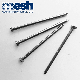 China Supplier Best Price Galvanized Common Nails Wire manufacturer
