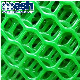 4mm Thickness HDPE Plastic Square Mesh manufacturer