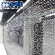 Stainless Steel Architectural Ring Mesh Used for Screen manufacturer