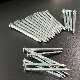 Hot Sale Hot Dipped Galvanized Square Boat Nails Made in China manufacturer