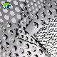 Stainless Steel Metal Grille Cover Perforated Metal for Car Audio Speaker manufacturer