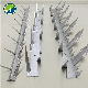 Galvanized Steel Spike/ Razor Barbed Wire Anti Climb Wall Spikes manufacturer