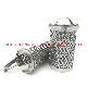 10 Micron Stainless Steel 316L Basket Filter Element manufacturer