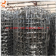 1′′ X 1′′ Square Hole Galvanized/Stainless Steel Welded Wire Mesh manufacturer