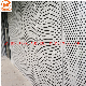 Metal Plate Stainless Steel Perforated Sheet for Building Decoration manufacturer