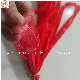 Red PP Leno Supermarket Vegetable and Fruit Net Bag manufacturer