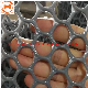  Hot Sale PP/PE Green Plastic Flat Wire Mesh