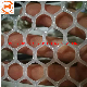 Filter Screen/PP White Plastic Flat Screen/ Poultry Keeping Mesh Chicken/Duck