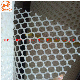 Plastic Flat Protection Breeding Wire Mesh for Poultry manufacturer