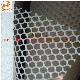 Plastic Flat Protection Breeding Wire Mesh for Poultry