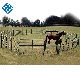  Galvanized Weldeing Farm Equipment Cattle Fence Panel Horse Corral Fencing