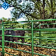 Wholesale Bulk Livestock Cattle Fence Panels