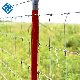 Cattle Fence for Breeding of Horses