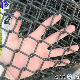 Pengxian PVC Diamond Mesh Fencing China Suppliers 50 X 50 mm 60 X 60 mm Cheap Chain Link Fence Used for Single Wire Electric Fence