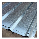  Sheet/ Roofing Sheet Price High Quality Gi Corrugated Steel Galvanized Steel Coil Ral Galvanized Coated Container Plate
