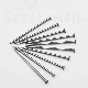 Large Head Galvanized Umbrella Roofing Nails/Concrete Nails/Common Nail Made in China manufacturer