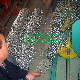  Factory Wholesale ISO & Ce Hot Dipped Galvanized Chain Link Fence